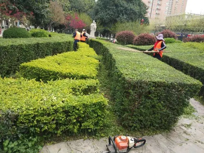 唐山市规划的屋顶绿化工程