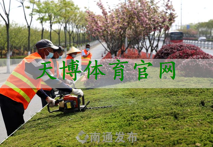 市政道路绿化工程管理规范