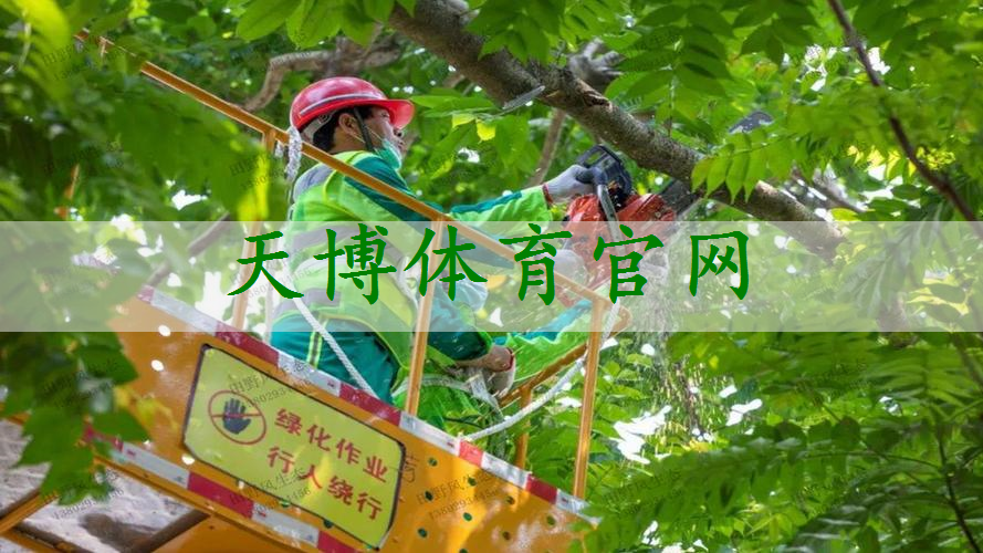 陕西虹展绿化工程