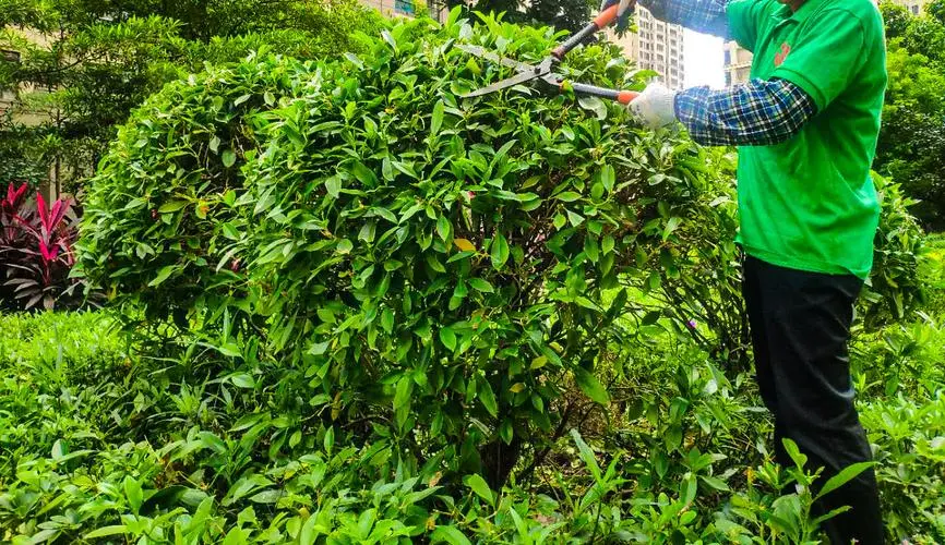现代平面园林景观设计要点