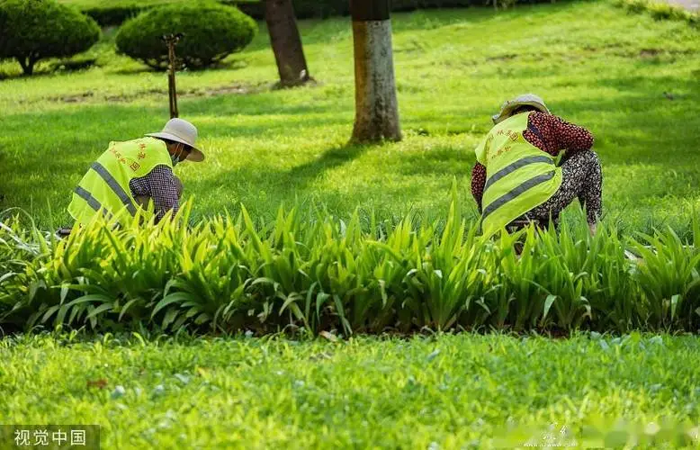 餐厅绿化园林景观设计方案